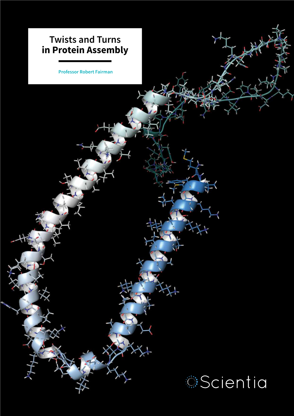 Twists and Turns in Protein Assembly