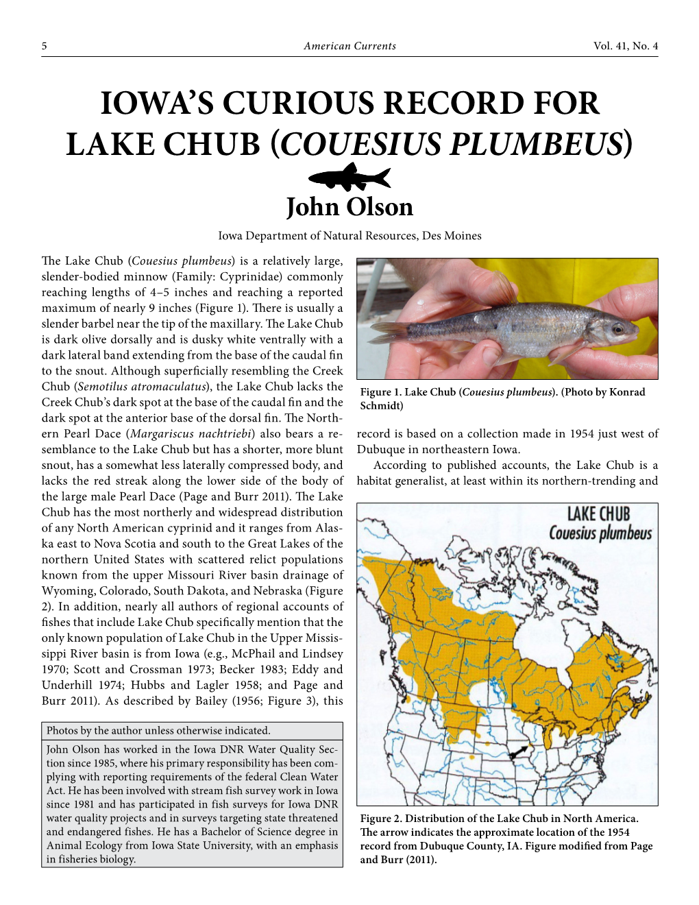 Iowa's Curious Record for Lake Chub