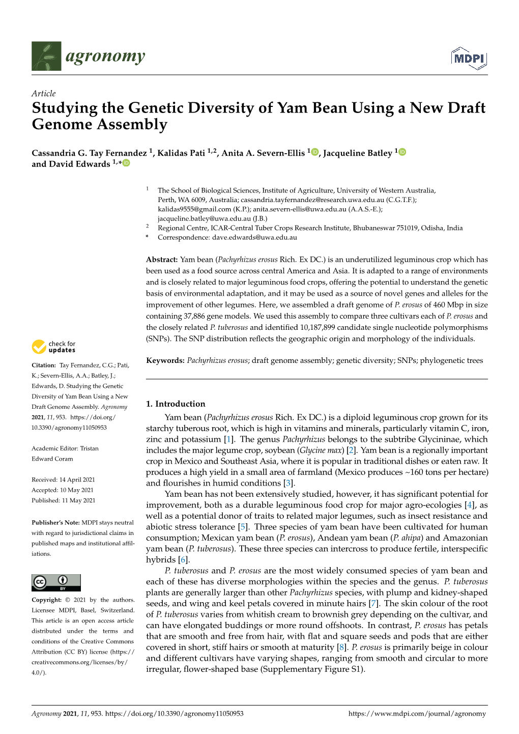 Studying the Genetic Diversity of Yam Bean Using a New Draft Genome Assembly