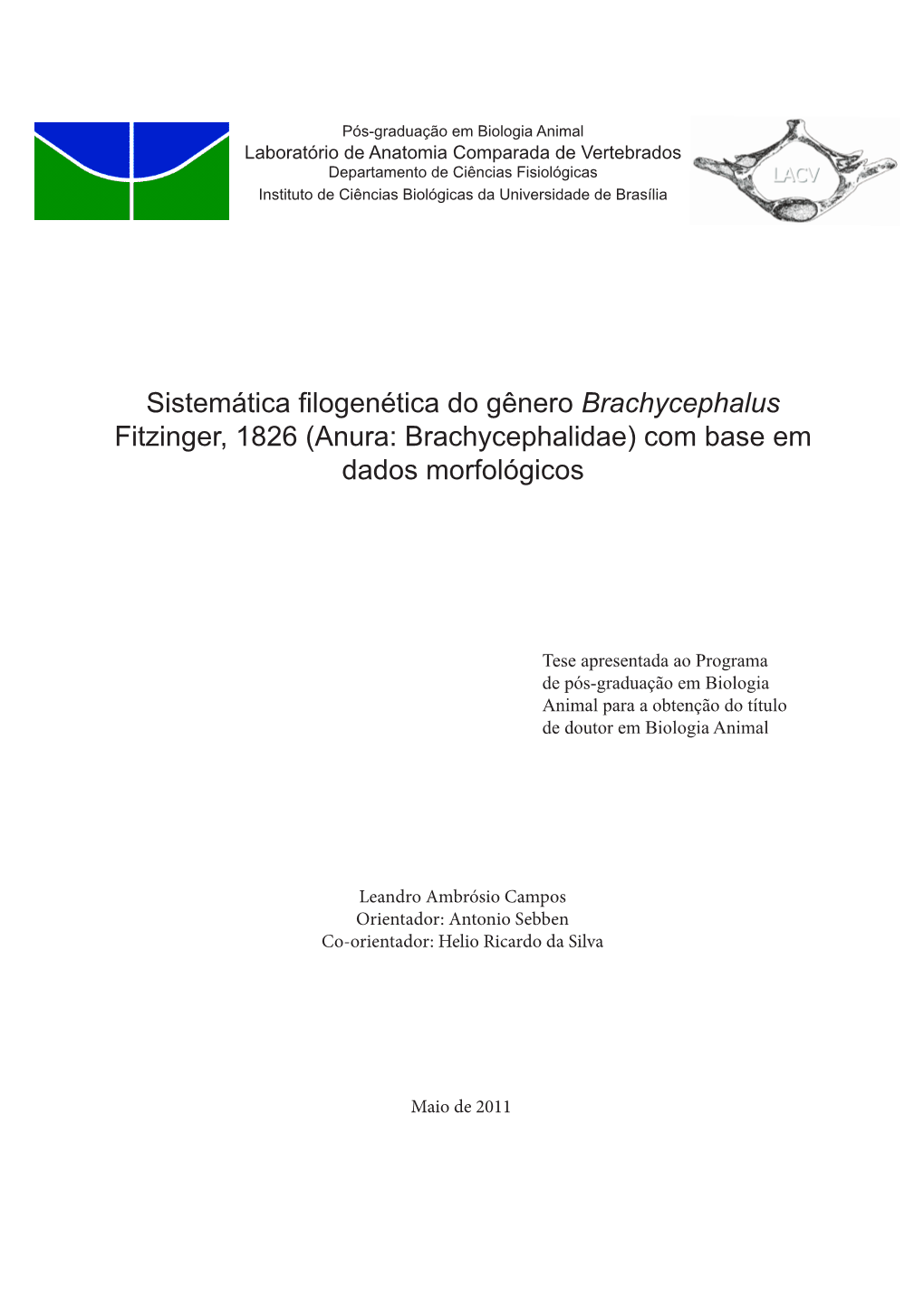 Anura: Brachycephalidae) Com Base Em Dados Morfológicos