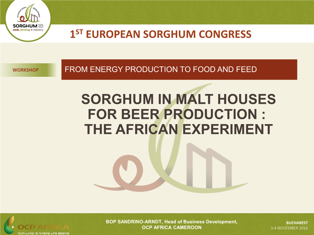Sorghum in Malt Houses for Beer Production : the African Experiment