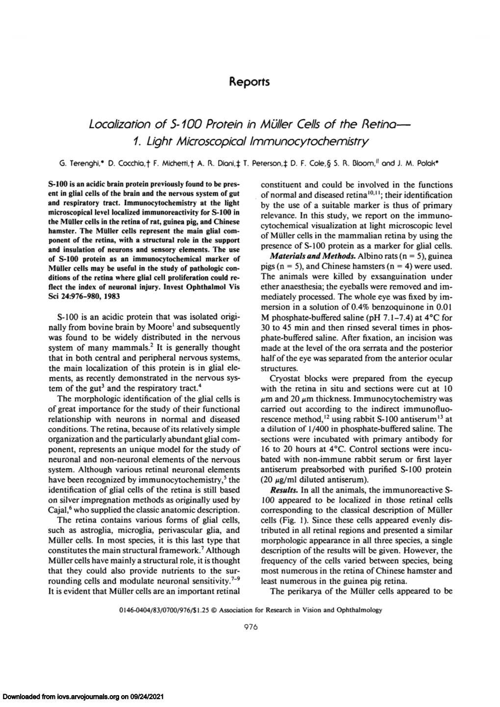 Localization of S-100 Protein in Mulier Cells of the Retina— 1