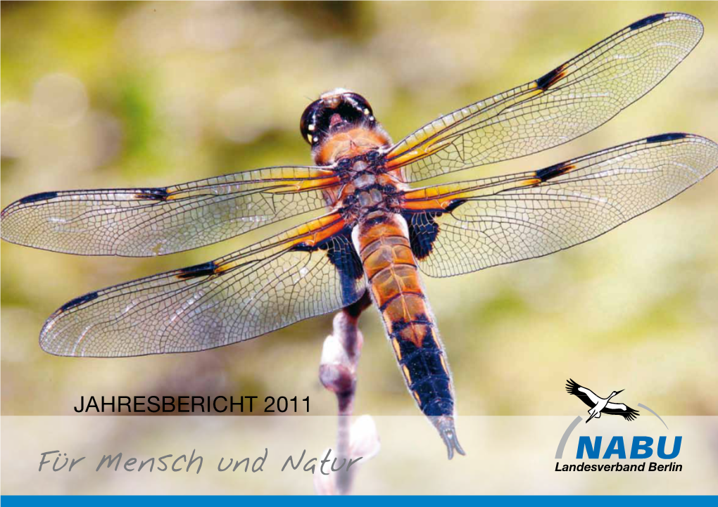 Für Mensch Und Natur Inhalt