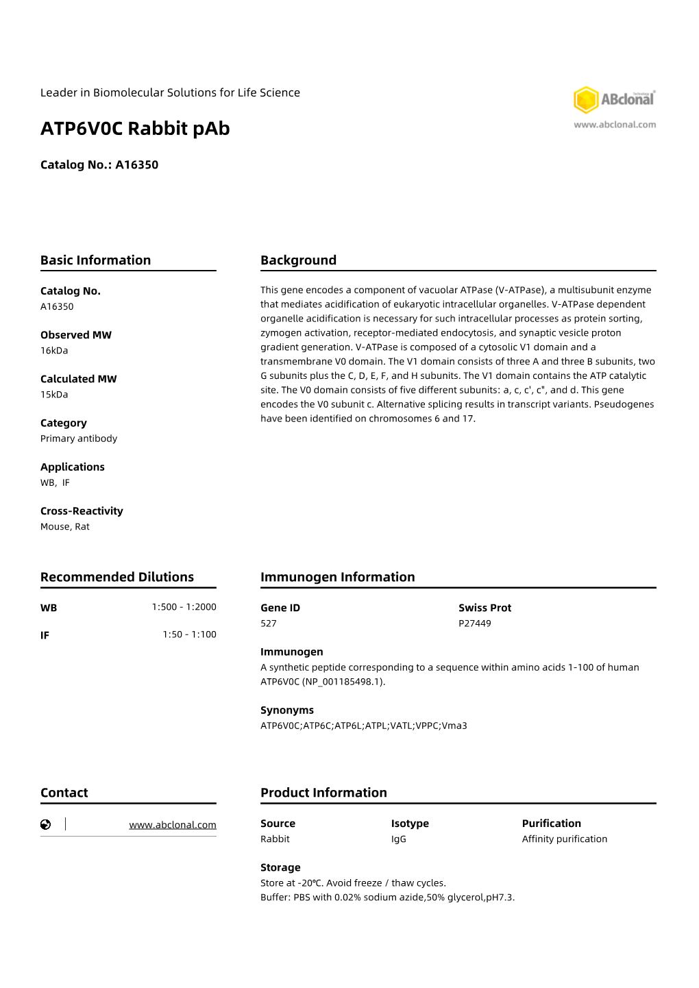 ATP6V0C Rabbit Pab