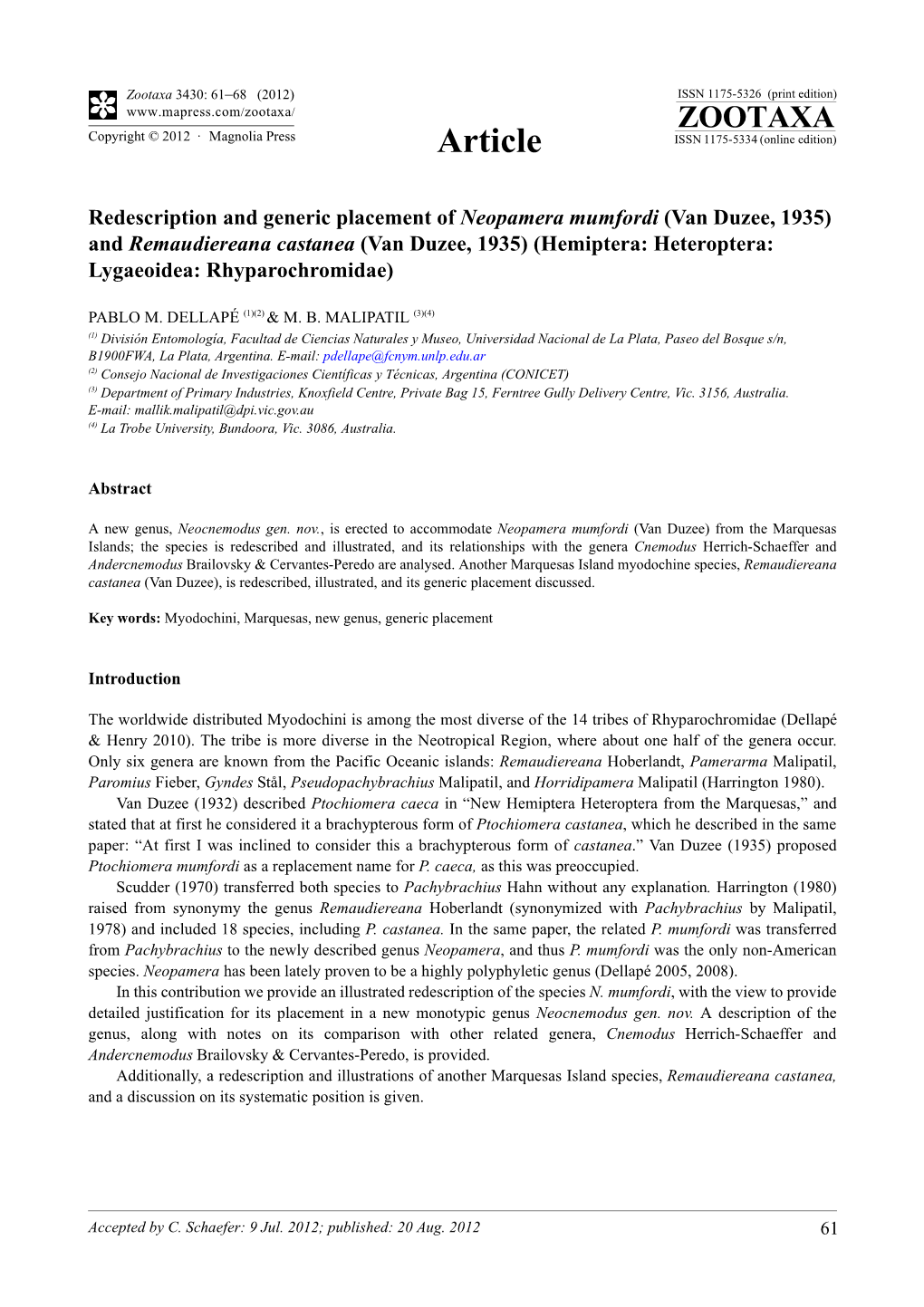 Redescription and Generic Placement of Neopamera