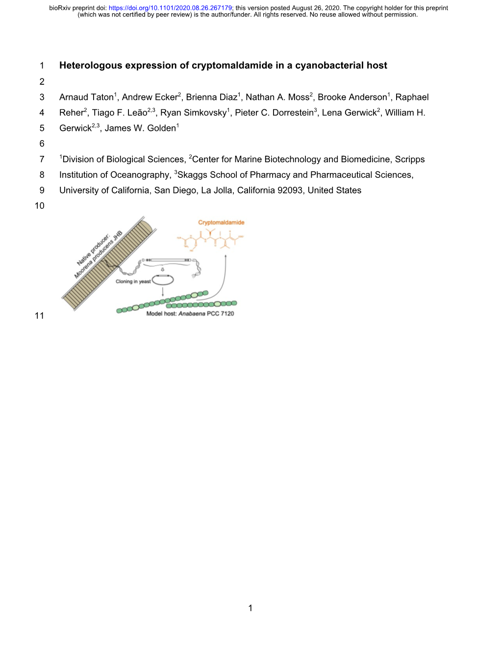 Heterologous Expression of Cryptomaldamide in a Cyanobacterial Host 2 3 Arnaud Taton1, Andrew Ecker2, Brienna Diaz1, Nathan A