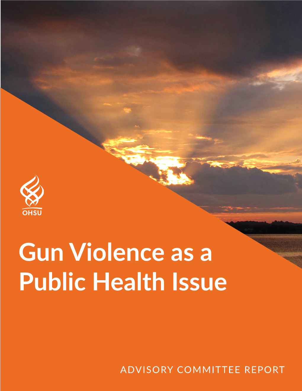 Gun Violence As a Public Health Issue