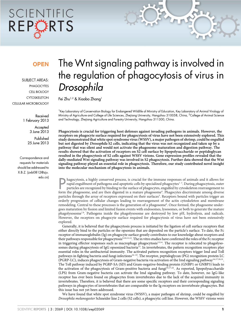 The Wnt Signaling Pathway Is Involved in the Regulation of Phagocytosis Of