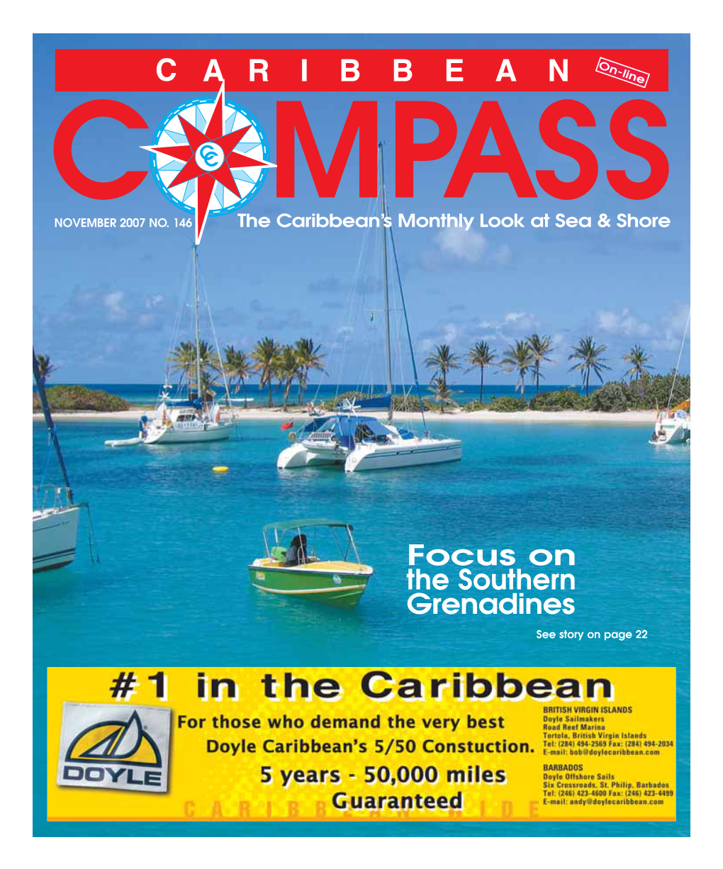 Focus on the Southern Grenadines