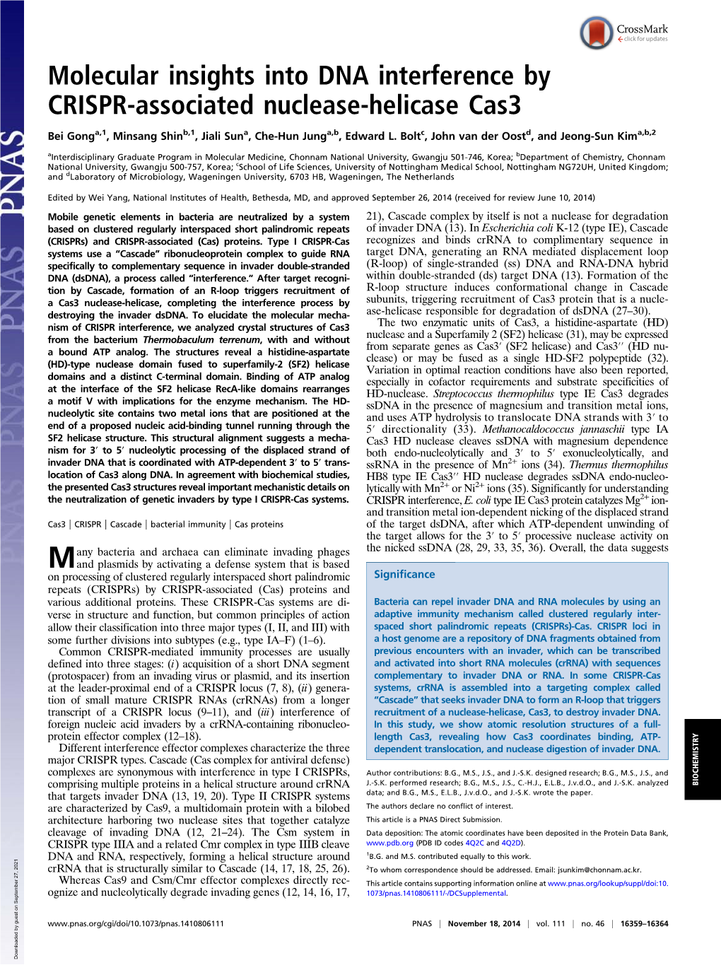 Molecular Insights Into DNA Interference by CRISPR-Associated Nuclease-Helicase Cas3