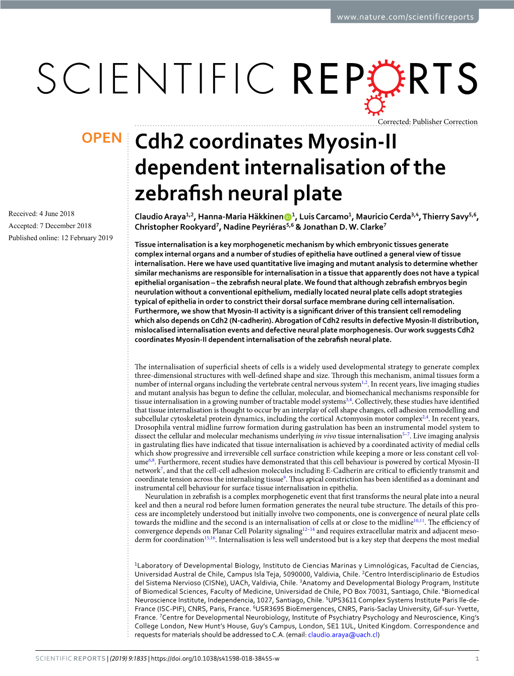 Cdh2 Coordinates Myosin-II Dependent Internalisation of the Zebrafish Neural Plate