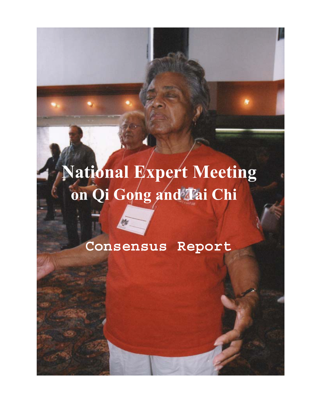 National Expert Meeting on Qi Gong and Tai Chi