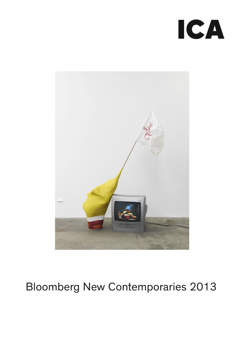Bloomberg New Contemporaries 2013