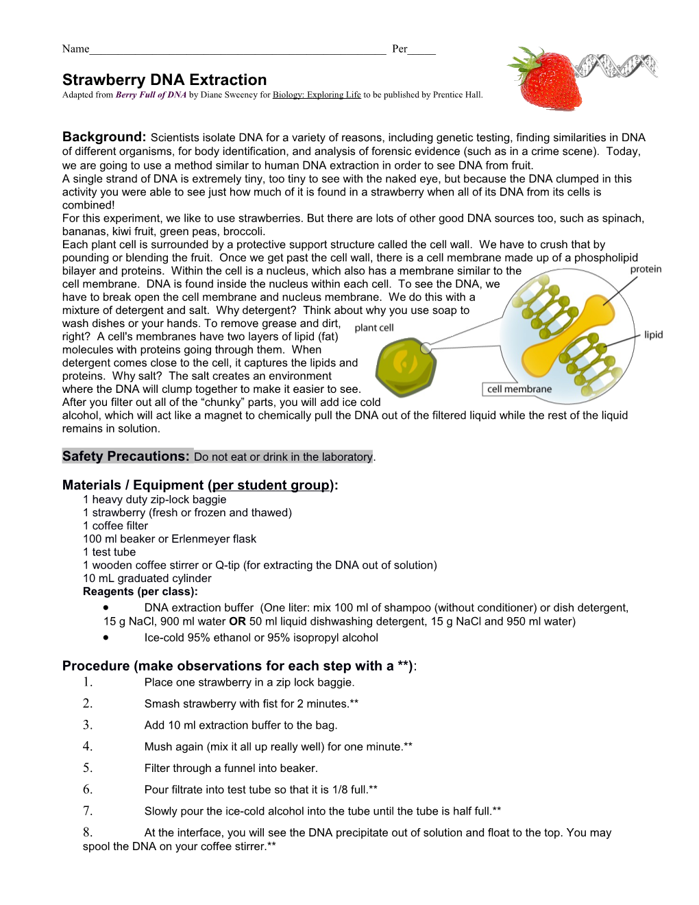 Strawberry DNA Extraction