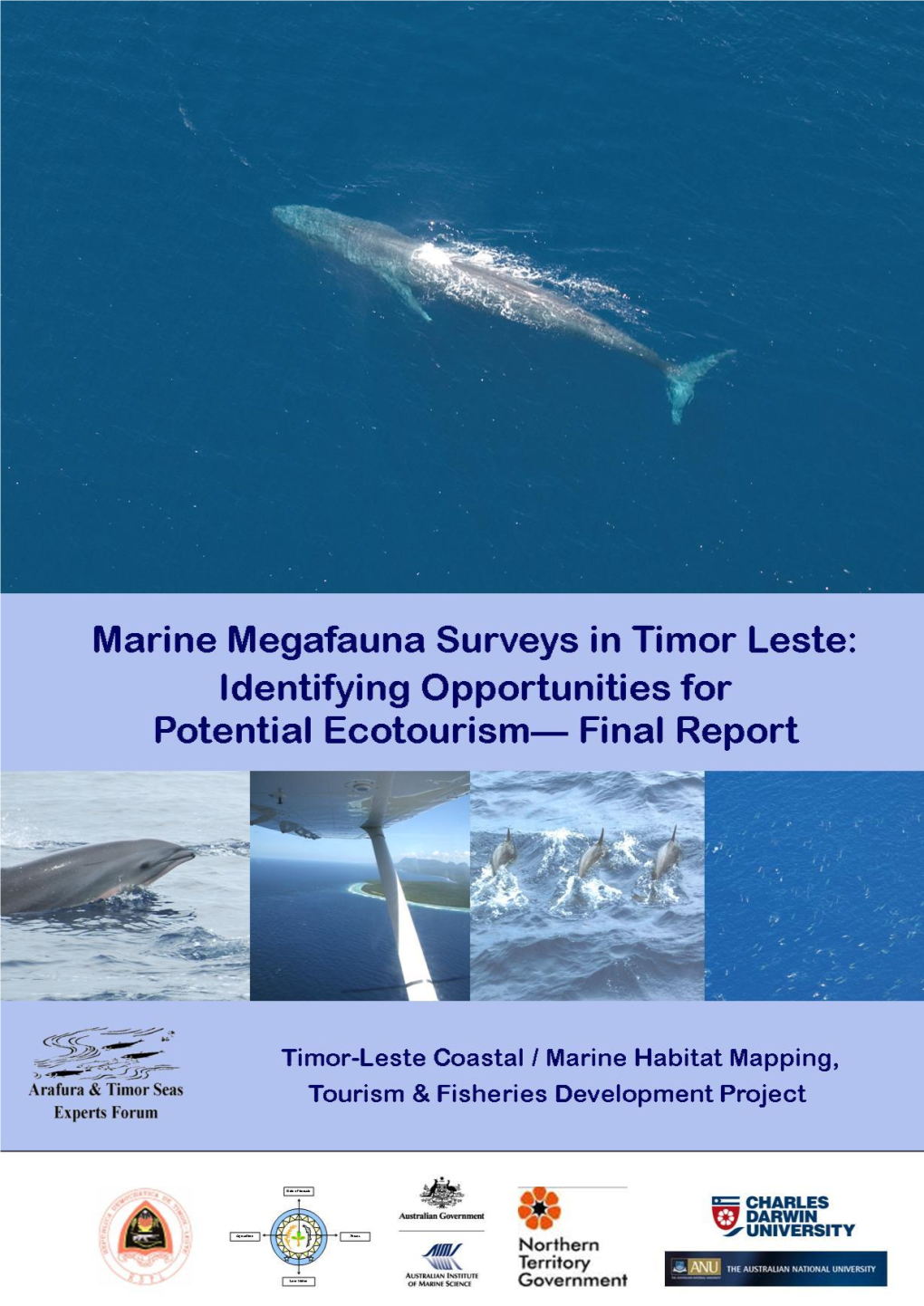 Marine Megafauna Surveys for Ecotourism Potential