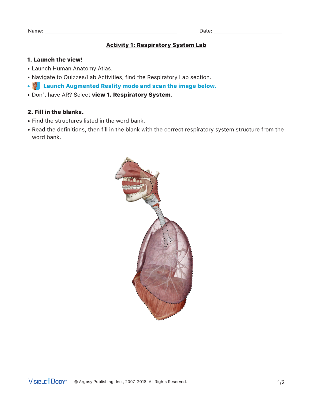 1. Launch the View! • Launch Human Anatomy Atlas. • Navigate to Quizzes/Lab Activities, Find the Respiratory Lab Section