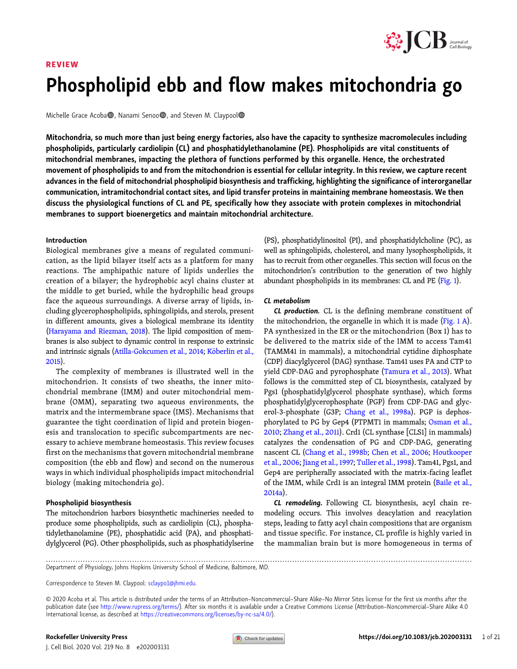 Phospholipid Ebb and Flow Makes Mitochondria Go