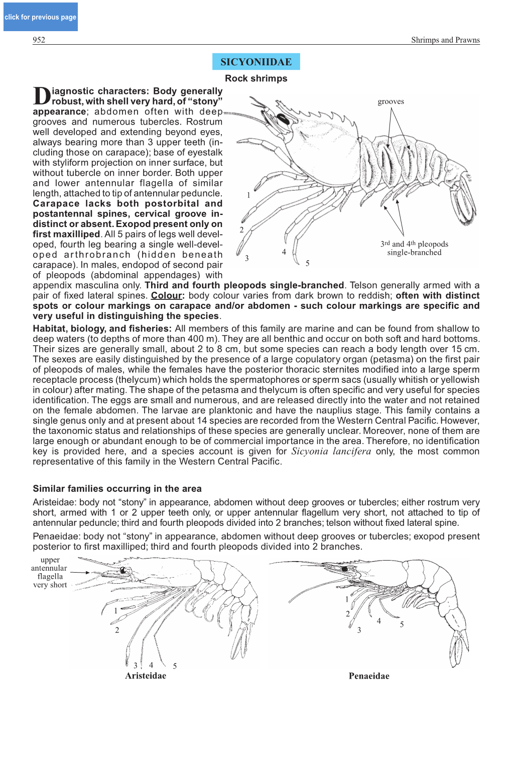 W7192e19.Pdf