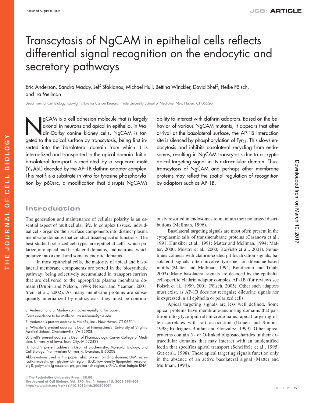 Transcytosis of Ngcam in Epithelial Cells Reflects Differential Signal