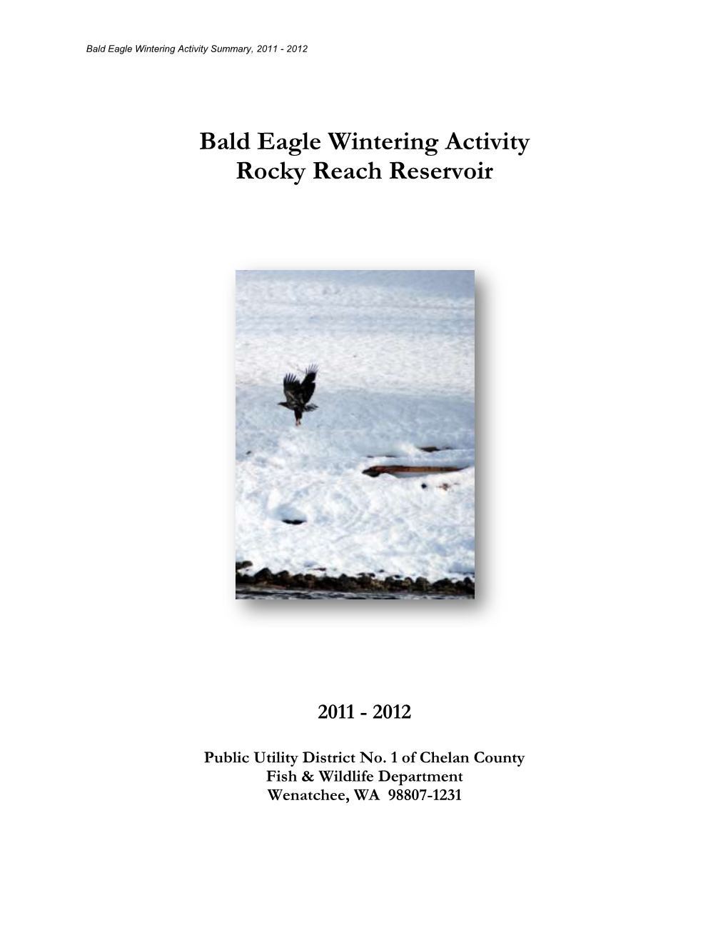 Bald Eagle Wintering Activity Rocky Reach Reservoir
