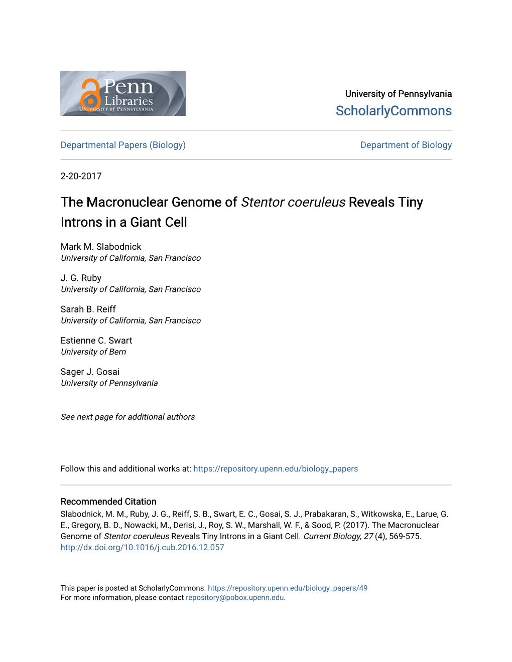 The Macronuclear Genome of Stentor Coeruleus Reveals Tiny Introns in a Giant Cell