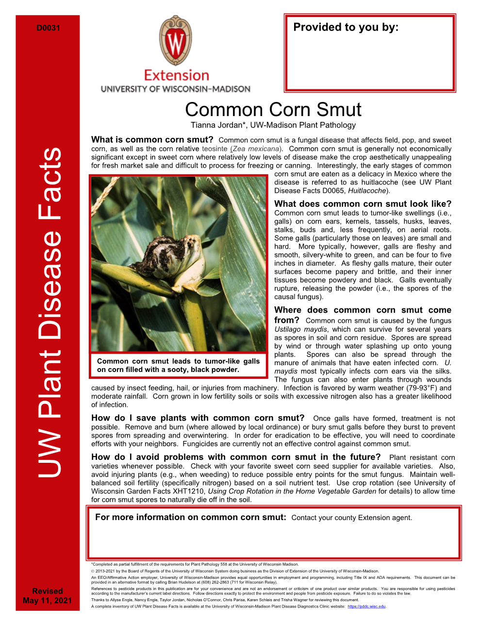 Common Corn Smut Tianna Jordan*, UW-Madison Plant Pathology