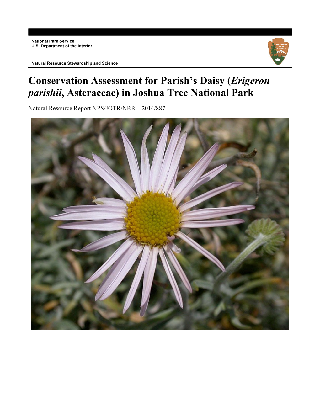 (Erigeron Parishii, Asteraceae) in Joshua Tree National Park