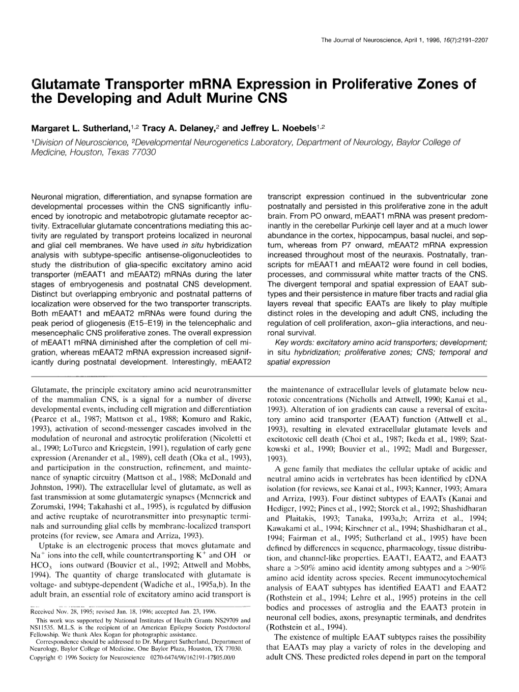 Glutamate Transporter Mrna Expression in Proliferative Zones of the Developing and Adult Murine CNS