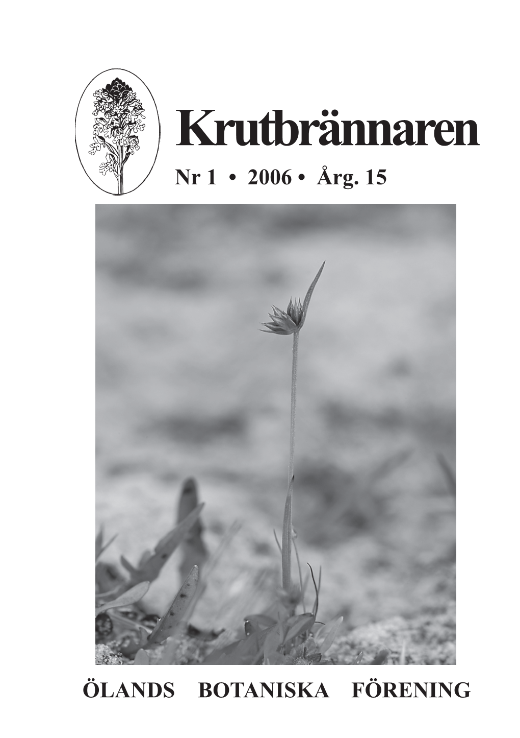 Krutbrännaren 2006-1