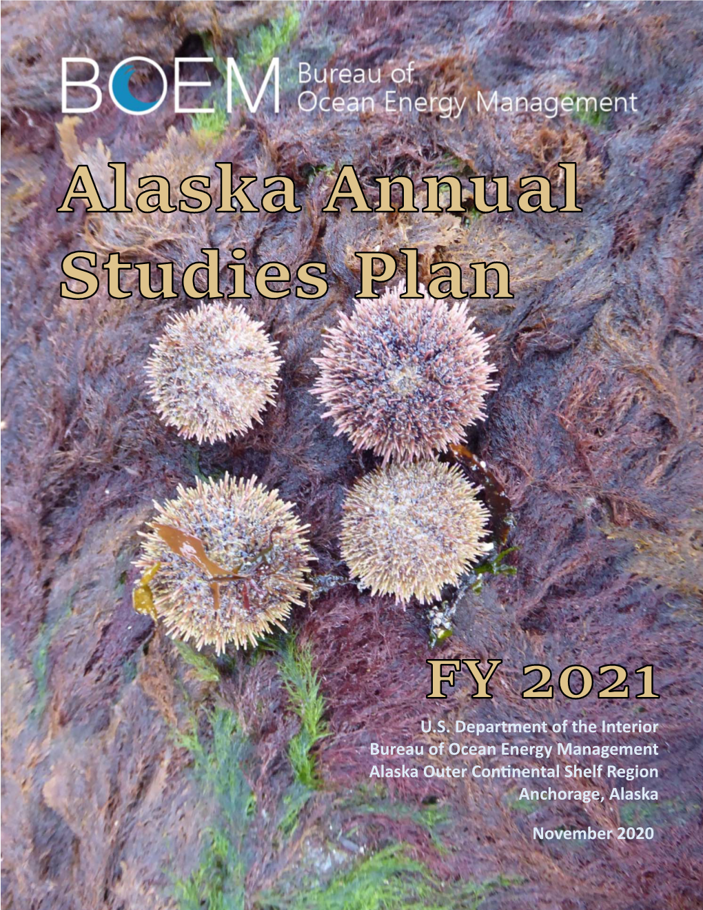 2021 Alaska Studies Plan