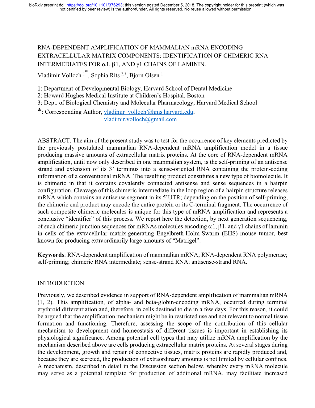 RNA-Dependent Amplification of Mammalian Mrna Encoding Extracellular Matrix Components