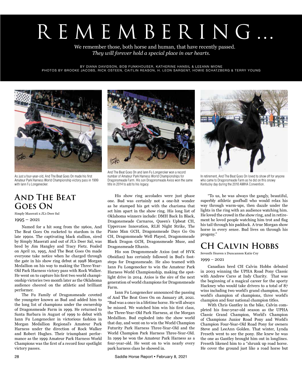 REMEMBERING… We Remember Those, Both Horse and Human, That Have Recently Passed