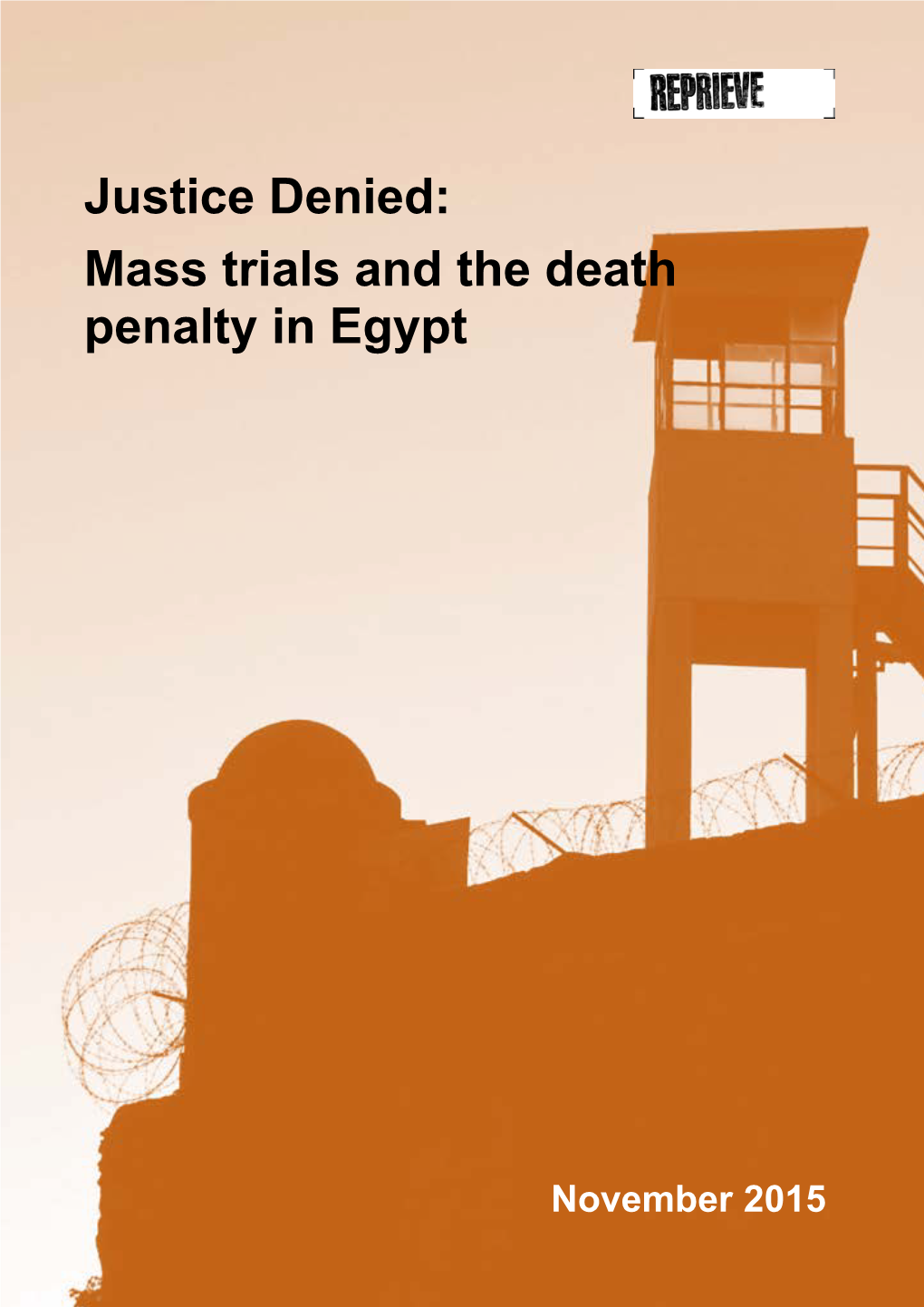 Justice Denied: Mass Trials and the Death Penalty in Egypt