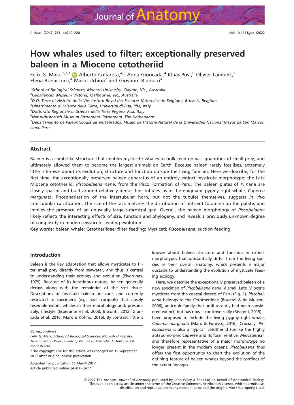 How Whales Used to Filter: Exceptionally Preserved Baleen in A