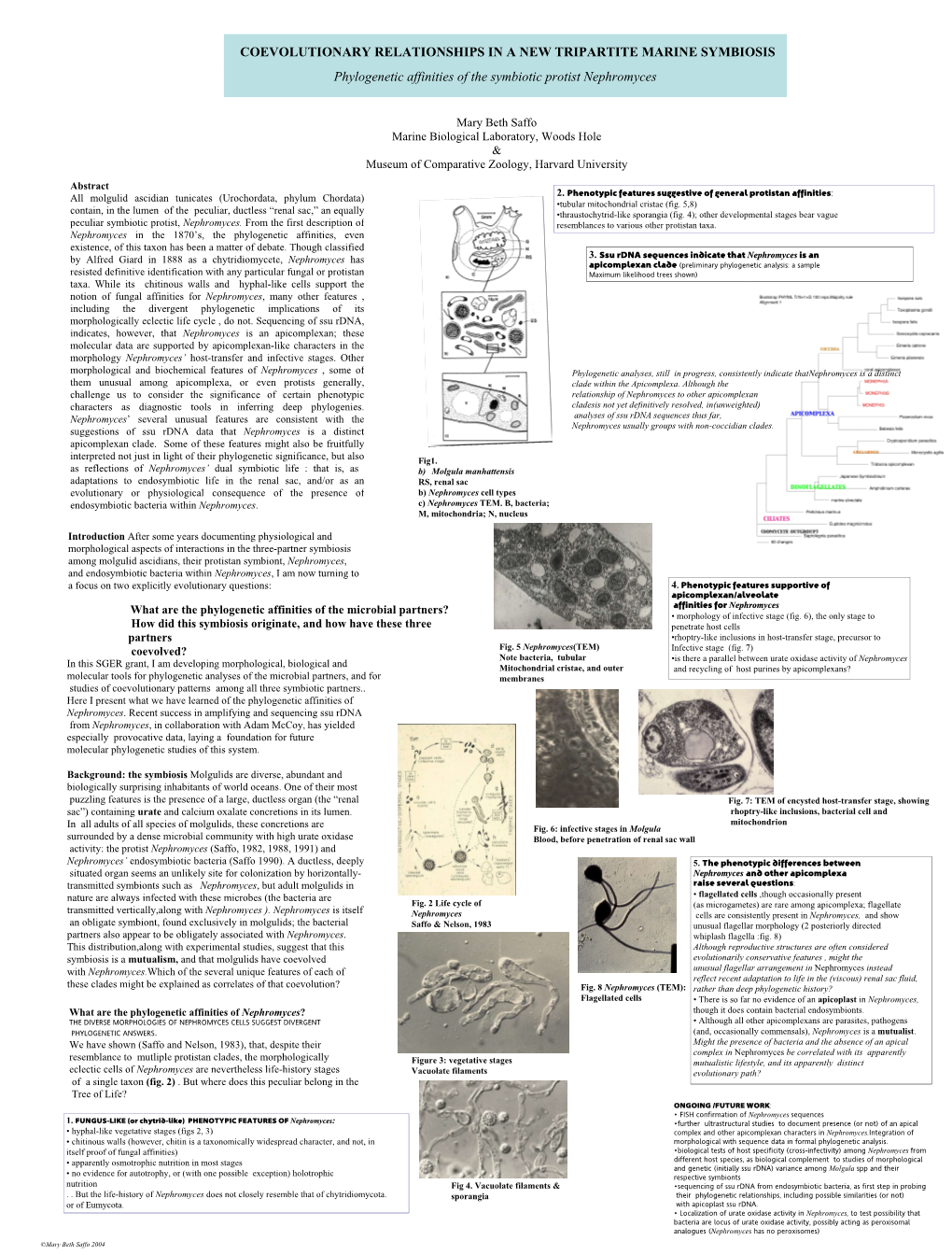 COEVOLUTIONARY RELATIONSHIPS in a NEW TRIPARTITE MARINE SYMBIOSIS Phylogenetic Affinities of the Symbiotic Protist Nephromyces