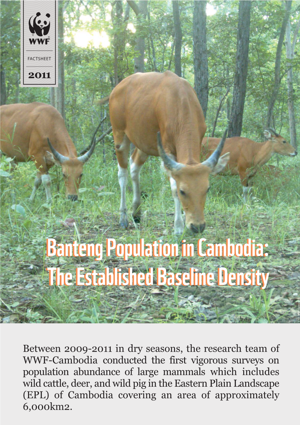 Bantengbanteng Populationpopulation Inin Cambodia:Cambodia: Thethe Establishedestablished Baselinebaseline Densitydensity © FA / WWF-Cambodia