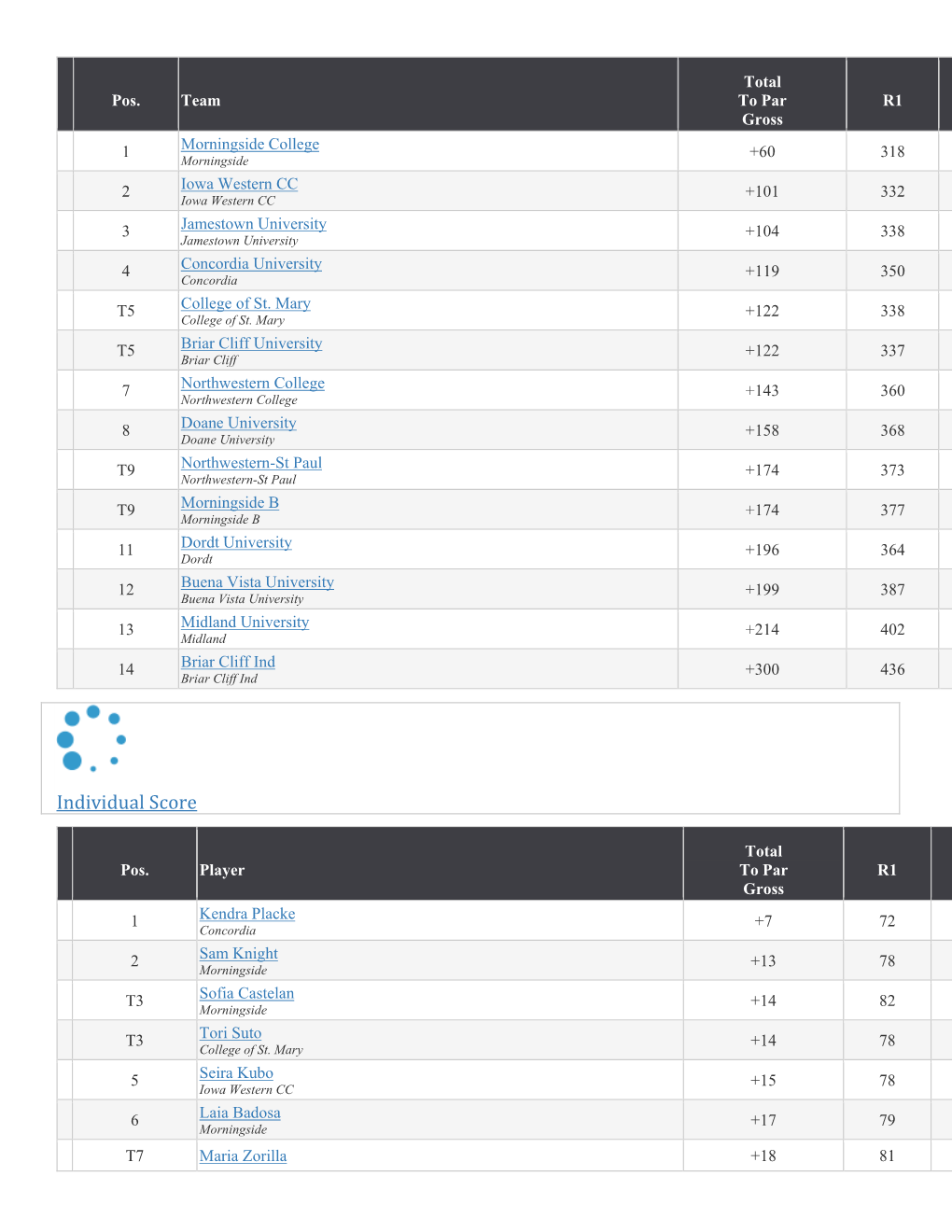 Individual Score