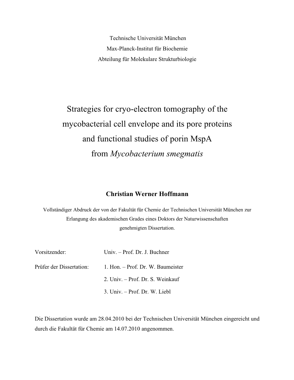 Strategies for Cryo-Electron Tomography of the Mycobacterial Cell Envelope and Its Pore Proteins and Functional Studies of Porin Mspa from Mycobacterium Smegmatis