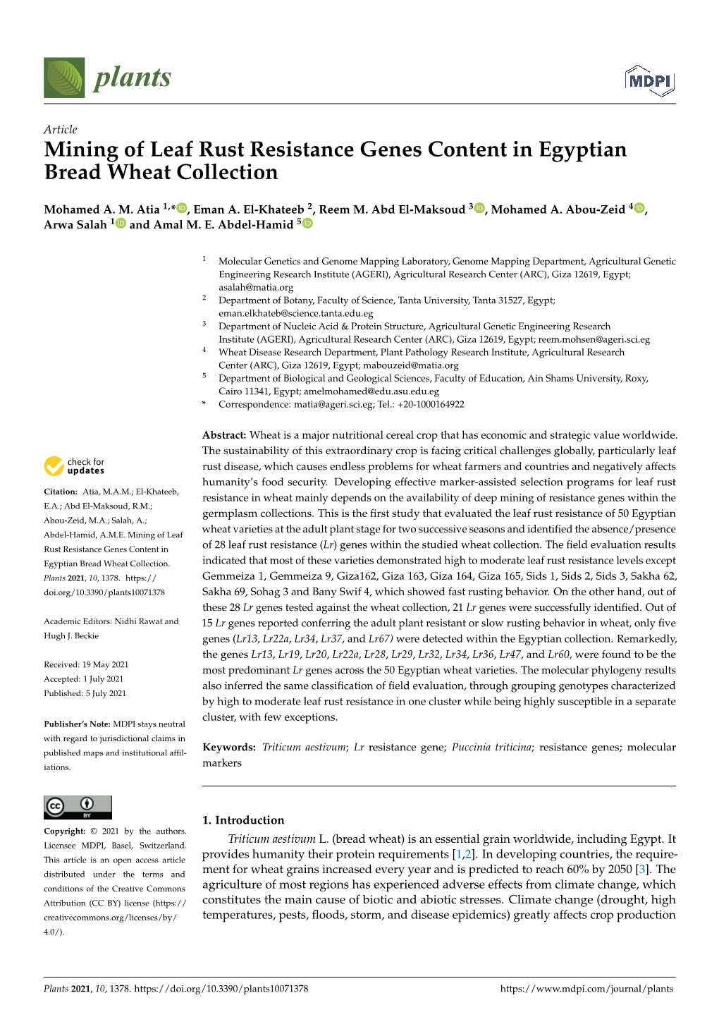 Mining of Leaf Rust Resistance Genes Content in Egyptian Bread Wheat Collection