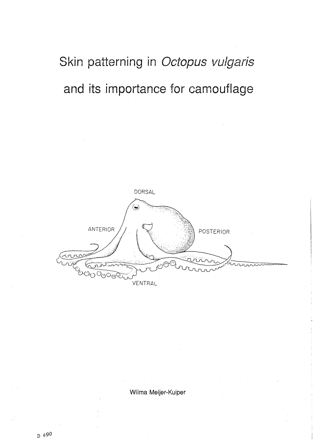 Skin Patterning in Octopus Vulgaris and Its Importance for Camouflage