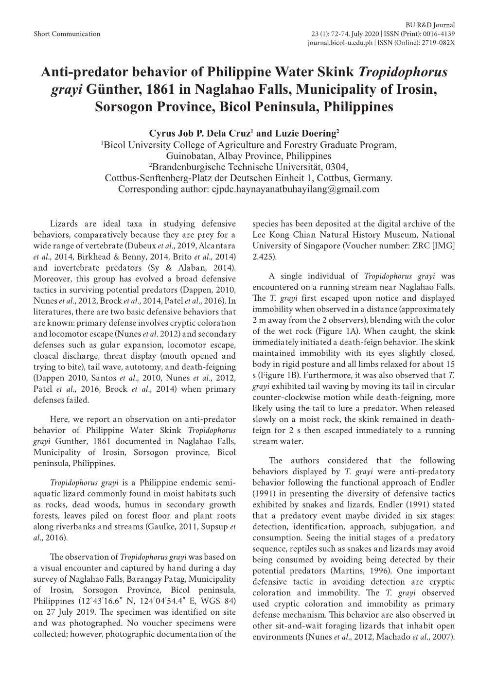 Anti-Predator Behavior of Philippine Water Skink Tropidophorus Grayi