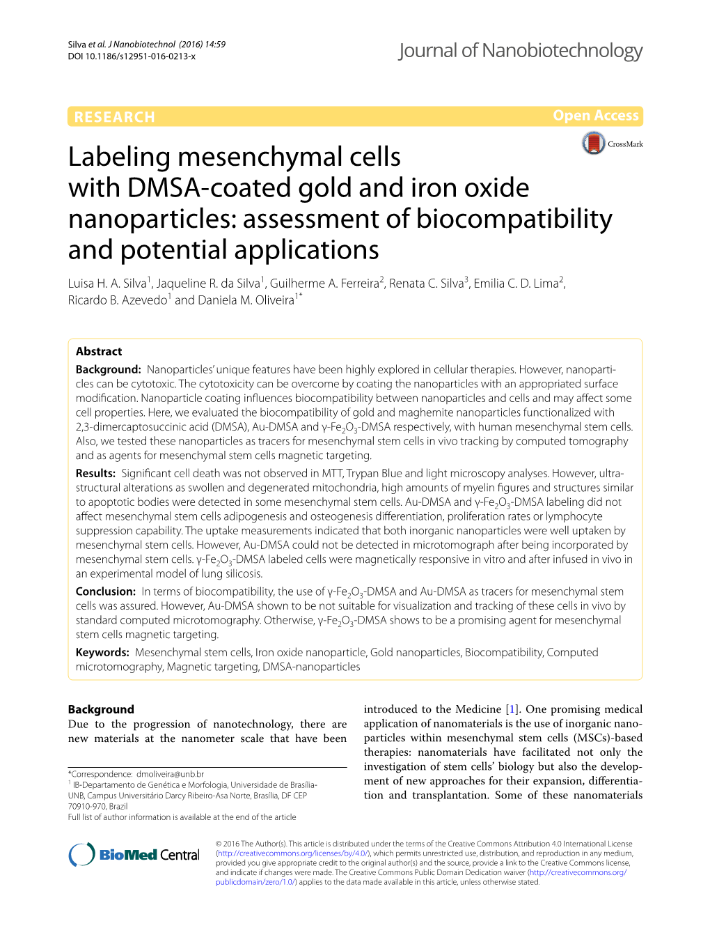 Labeling Mesenchymal Cells with DMSA-Coated Gold