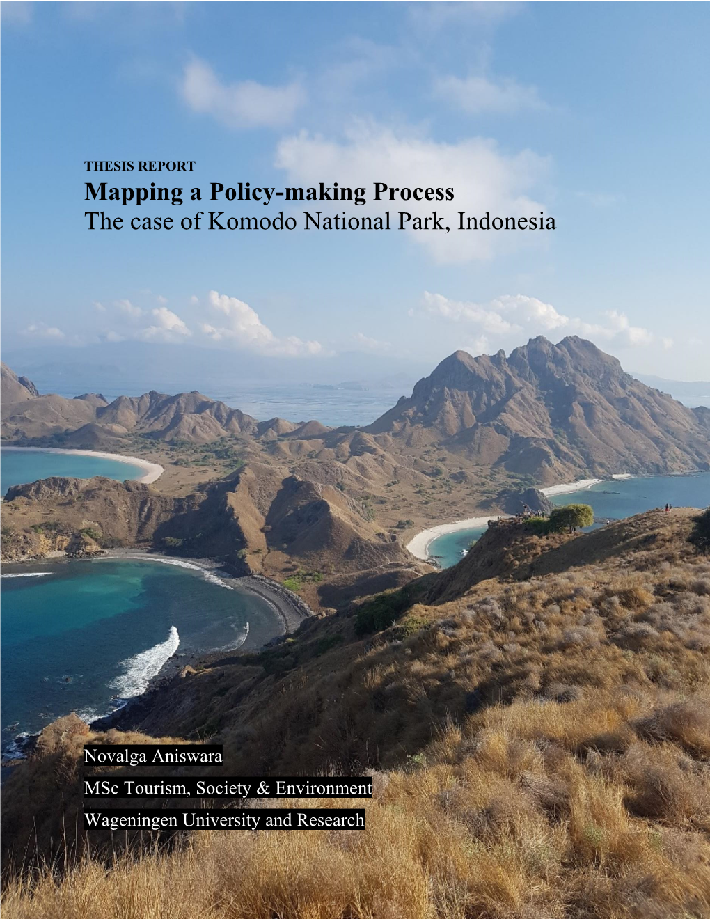 Mapping a Policy-Making Process the Case of Komodo National Park, Indonesia