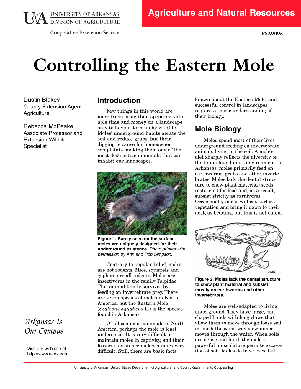 Controlling the Eastern Mole