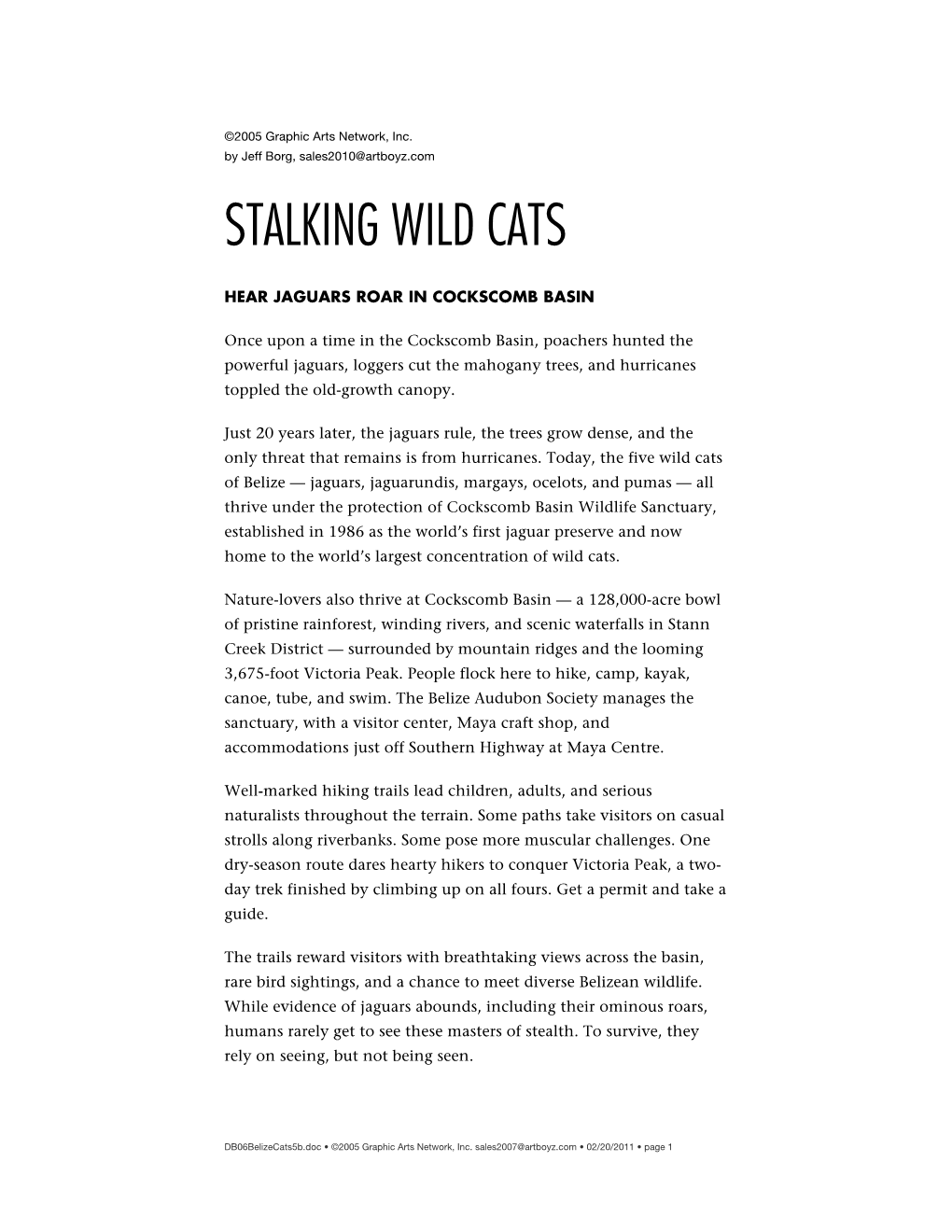 Stalking Wild Cats
