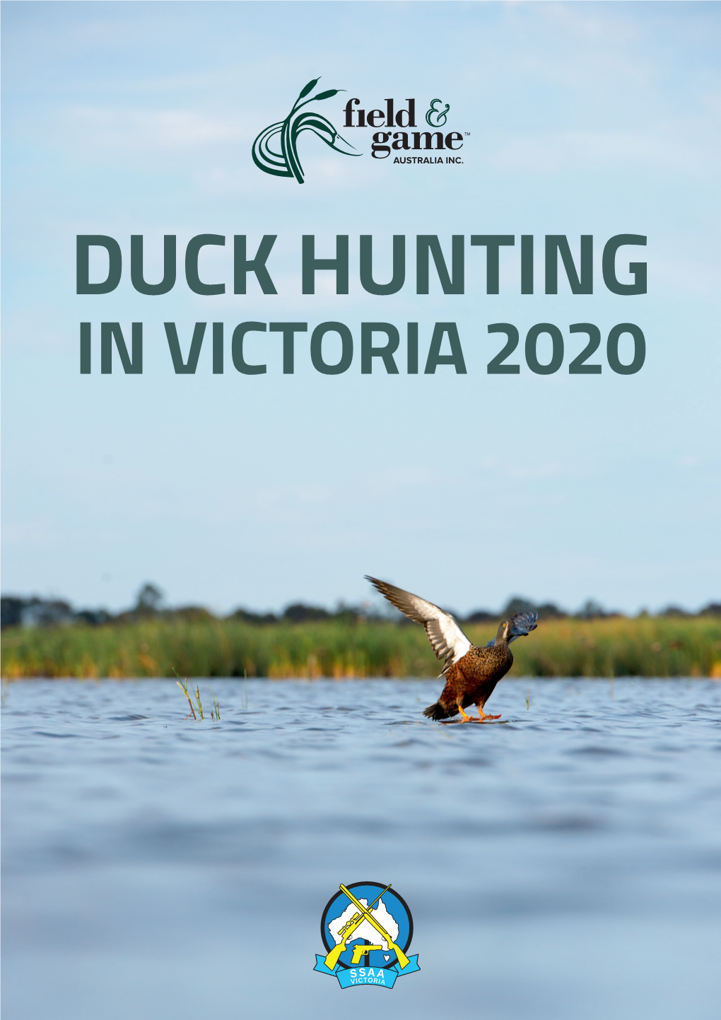 DUCK HUNTING in VICTORIA 2020 Background