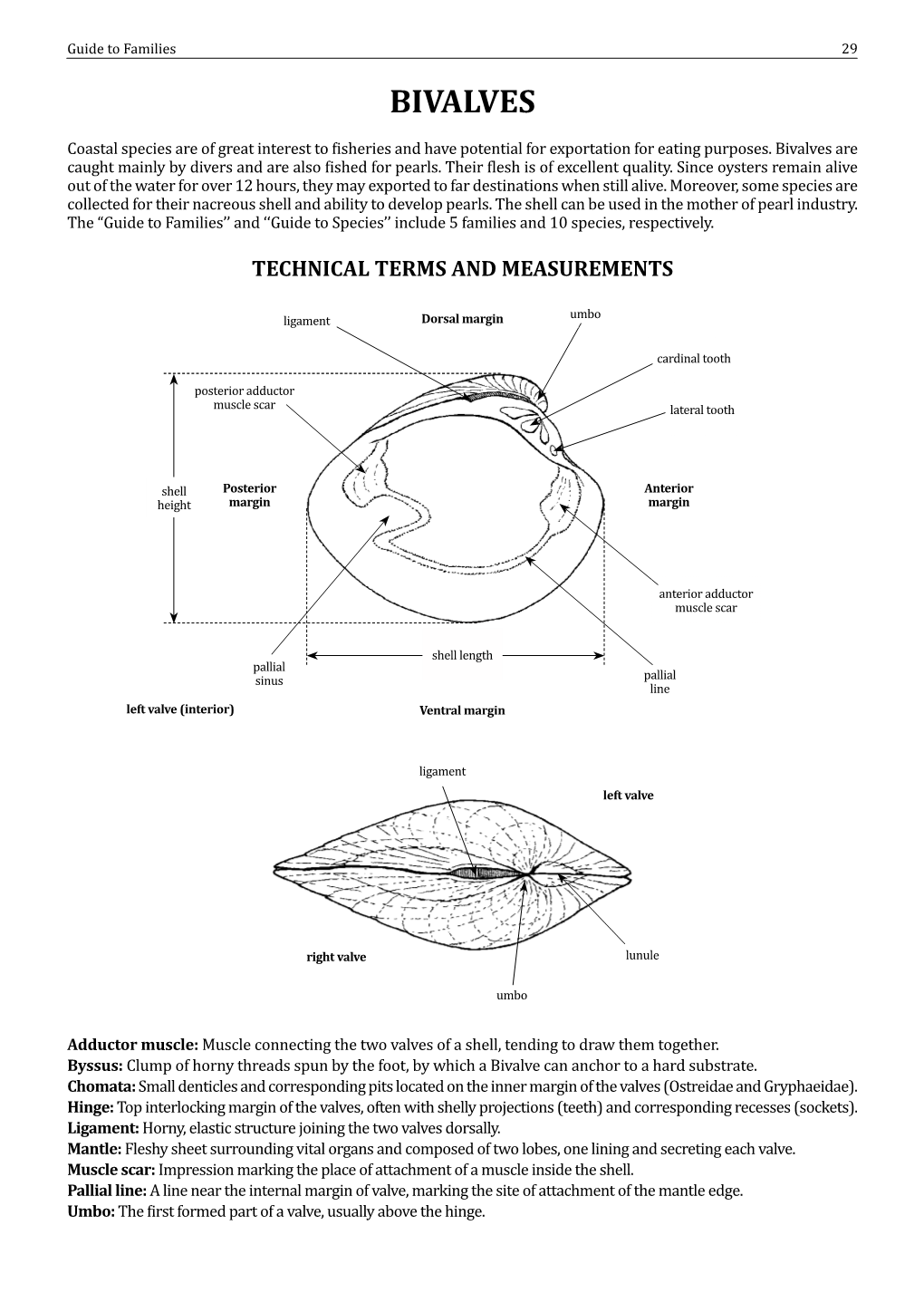 Field Identification Guide to the Living Marine Resources In