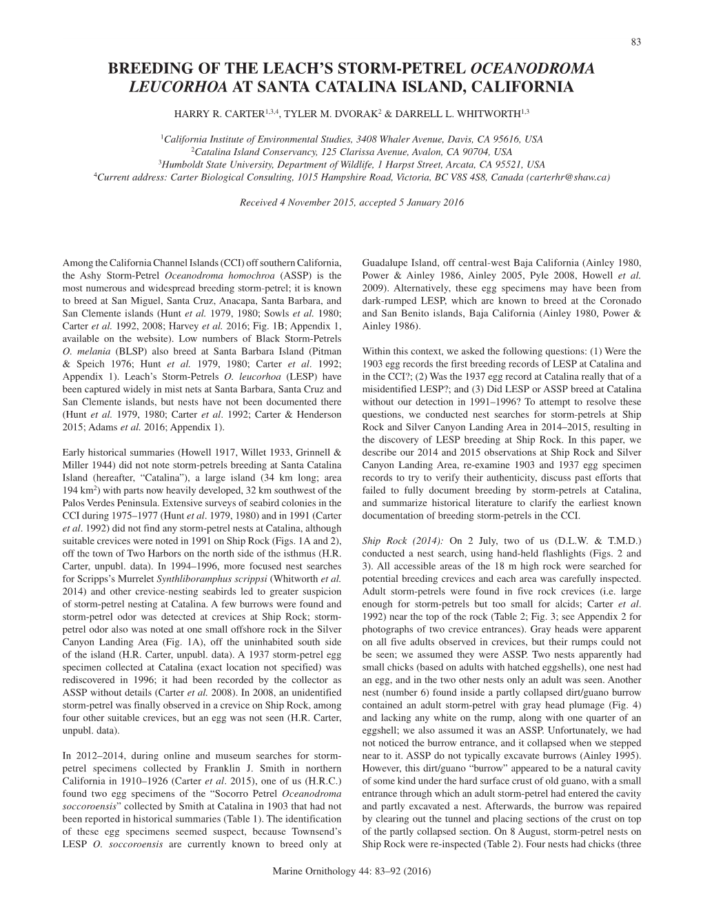 Breeding of the Leach's Storm-Petrel Oceanodroma Leucorhoa at Santa Catalina Island, California