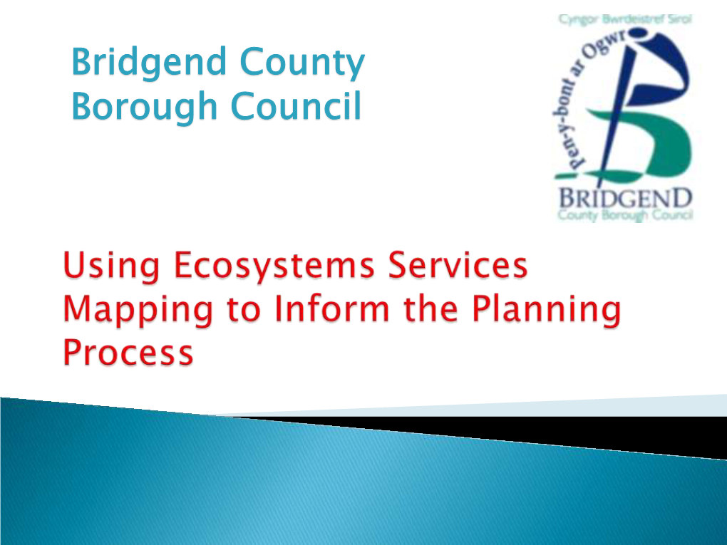 Bridgend County Borough Council