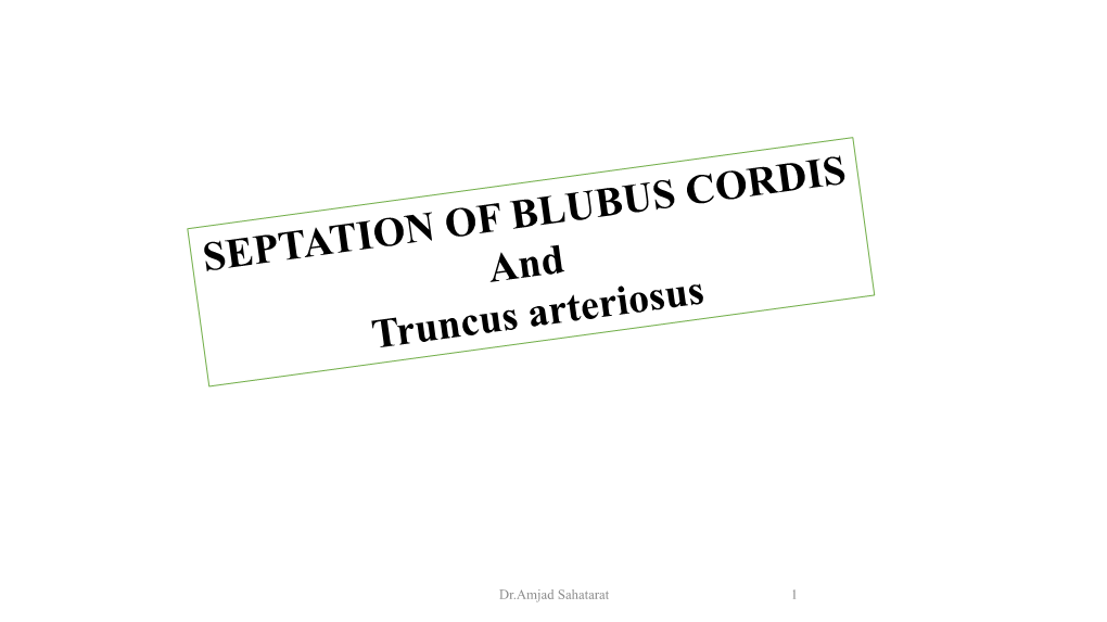 Of the Bulbus Cordis